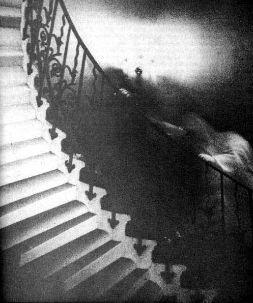 The Tulip Staircase Ghost is one of the most famous paranormal images ever taken. To this day the image cannot be explained by experts in the field.