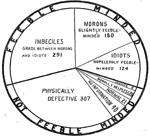 The following outlines how Pennhurst categorized their patients, often collectively called 