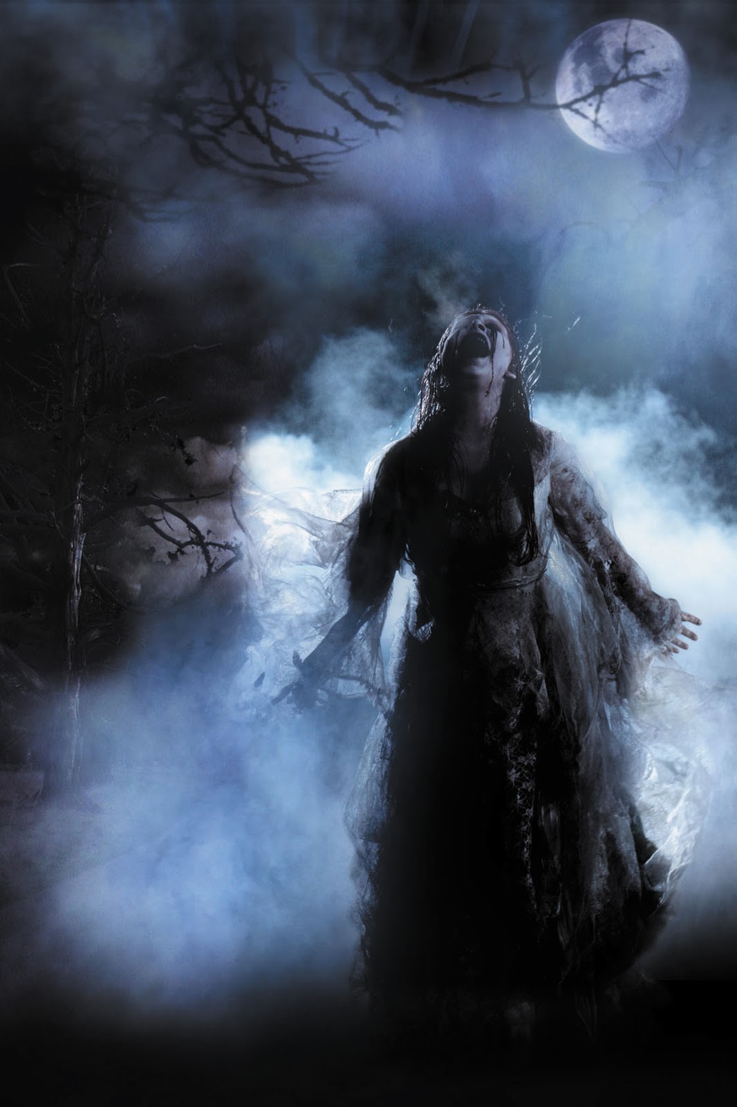 Banshee (bean-sidhe) means 'Faerie woman' or 'woman of the Faerie mound'. Many legends exist surrounding the Banshees and just how evil is she meant to be.