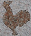 Rooster