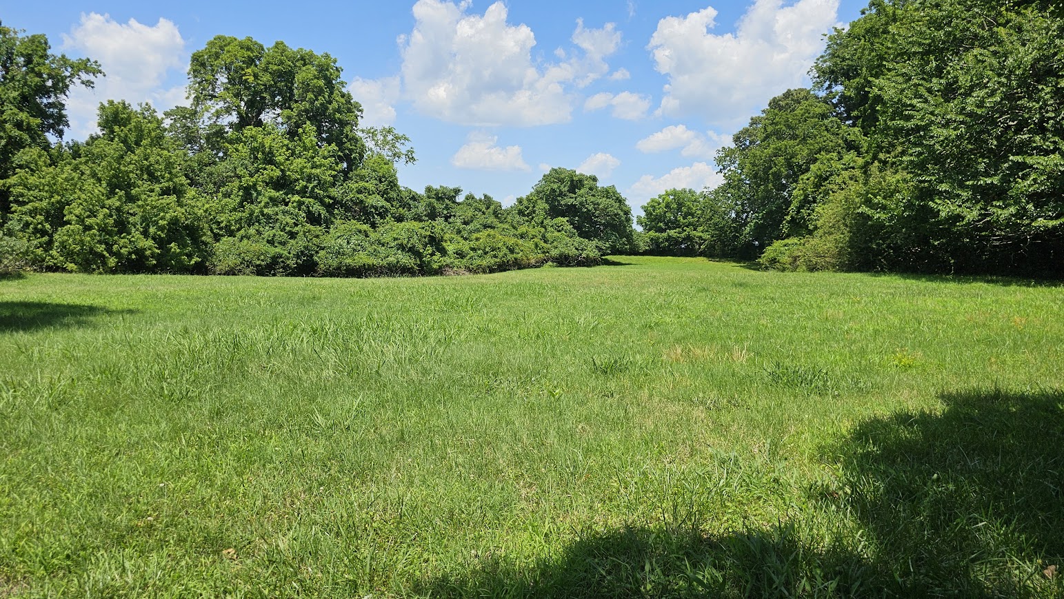 William Nelson House Site