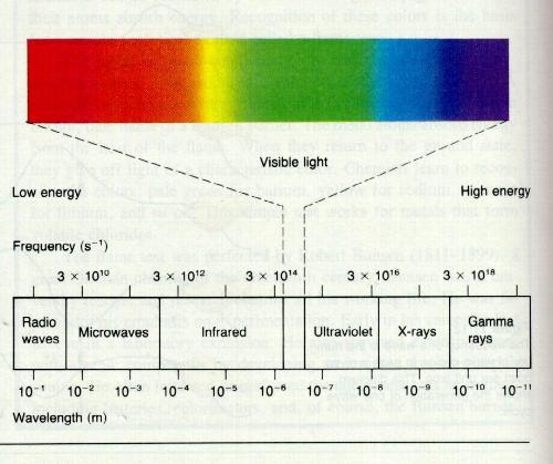 The light we see is known as 