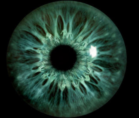 Assorted Bizarre or Paranormal Items