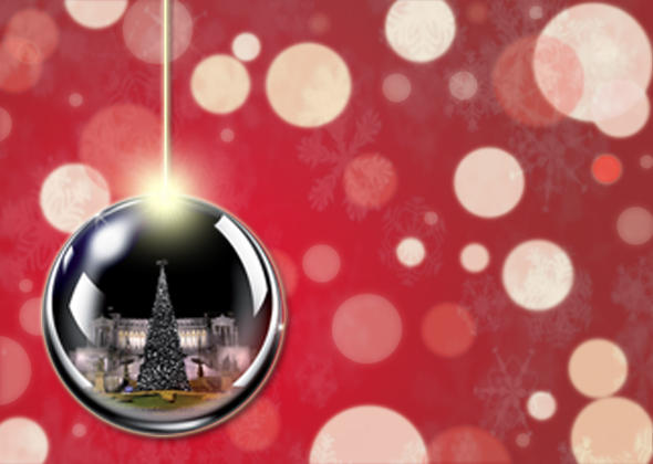 The Christmas Visitor