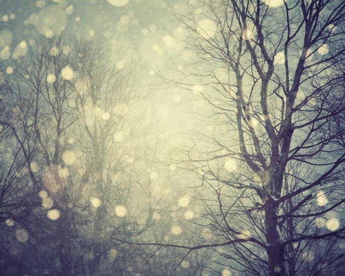 Spinning a Winters Tale