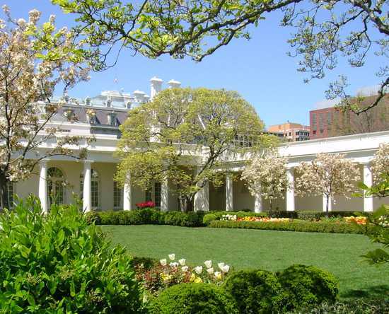 Rose Garden