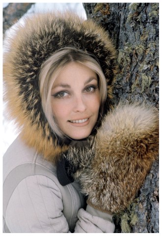 Does Sharon Tate's spirit still roam the property where she was murdered?