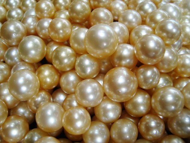 Treasure In The Majave Dessert