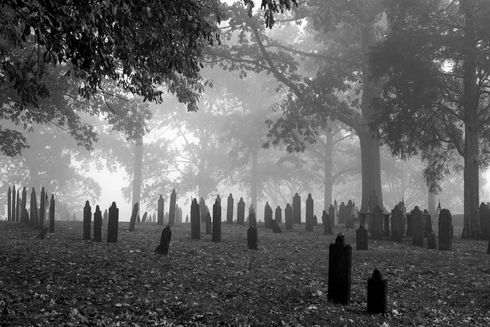 Conducting Research in a Cemetery