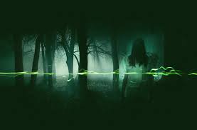 EVP Classifications